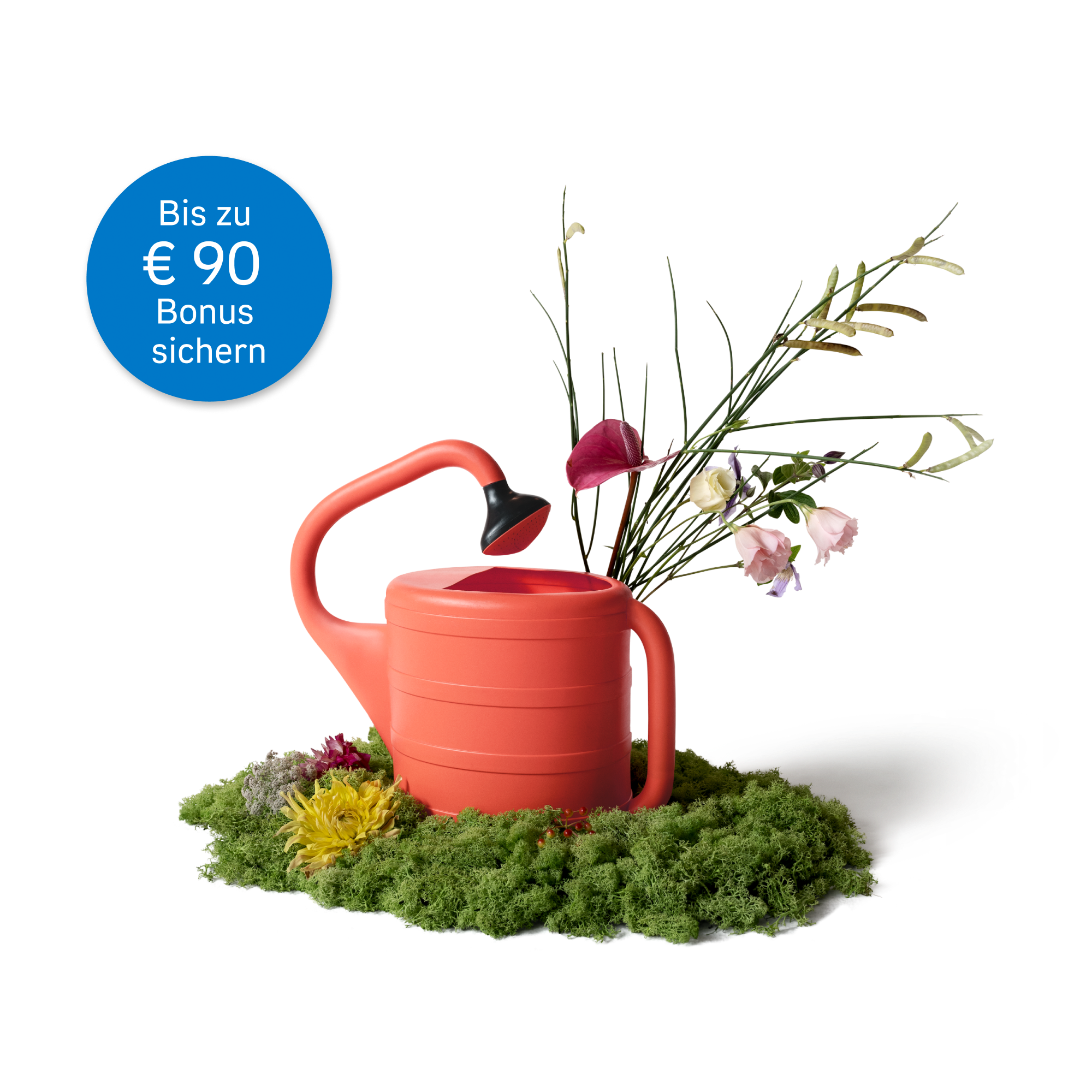 Investissement bonus